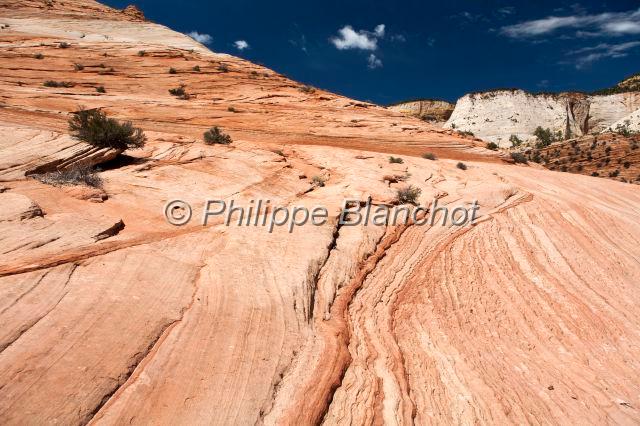 etats unis ouest 33.JPG - Zion National ParkUtah, Etats-Unis